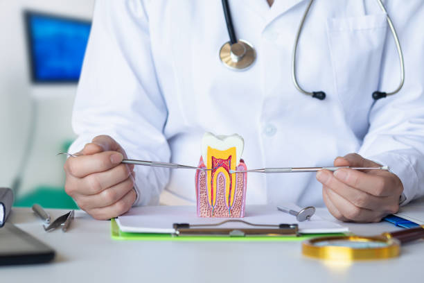 Best Emergency Dentist for Knocked-Out Tooth in Sturgeon, MO
